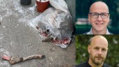 Mikael hittade rådjurshuvud – vid plaståtervinningen ✓FTI: "Vi har sett det mesta" ✓Älgar, kor och skittunnor