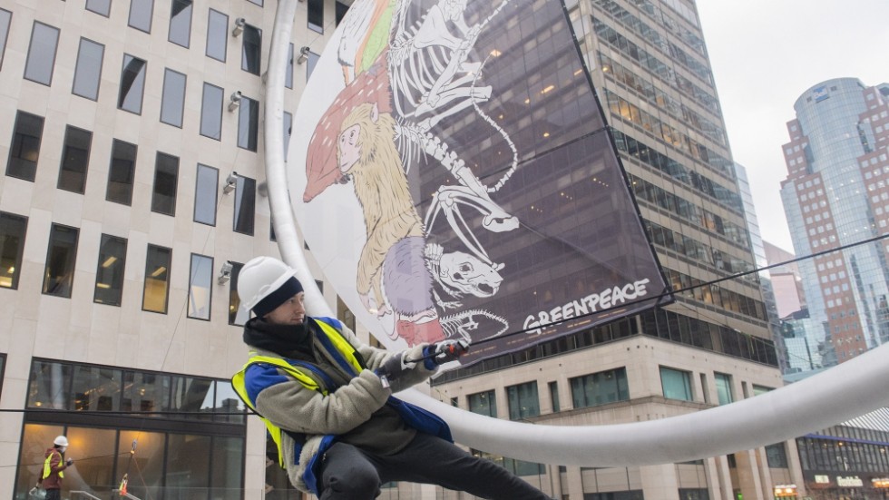 En aktivist från Greenpeace sätter uppe en banderoll med texten "Skydda naturen, skydda livet" på en gata i Montreal tidigare i veckan.