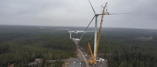 Just nu vill Hultema vindkraftspark i Tjällmo ha vindstilla