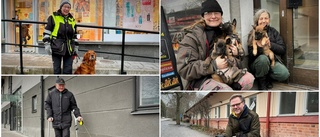 Det här är de vanligaste hundraserna och hundnamnen i Enköping • EP träffade några av kommunens mer än 6 000 hundar