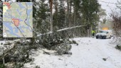 Snöfallet slår mot elnätet – många drabbade av strömavbrott: "Som tur är har vi vedkamin"