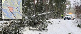 Snöfallet slår mot elnätet – många drabbade av strömavbrott: "Som tur är har vi vedkamin"