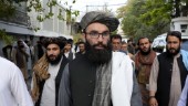 Talibantopp anklagar prins Harry för krigsbrott