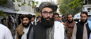 Talibantopp anklagar prins Harry för krigsbrott