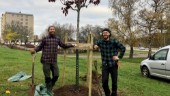 Här planteras exotiska träd ✓Ska dofta nybakade kakor och vanilj ✓"Unikt projekt ska höja trivseln för de boende"