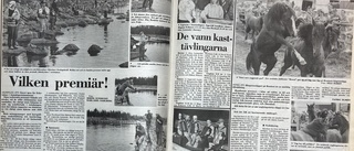 Ur vårt arkiv 1997: Björklundaskolan stängd efter allergiska reaktioner