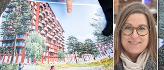 Planen: Så ska Skellefteå klara bostadsbyggandet