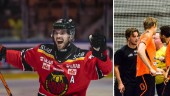 Publikfavoriten gör comeback i Luleå Hockey – för en match