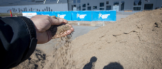 Fel sand levererad – beachvolleyplanen på Rosvalla försenas
