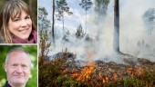 Åtgärderna som kan förhindra nästa skogsbrand i Sörmland