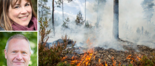 Åtgärderna som kan förhindra nästa skogsbrand i Sörmland