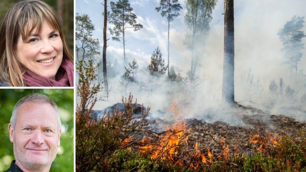 Det finns åtgärder som kan förhindra skogsbränder, skriver Karin Fällman Lillqvist och Hans Lindberg på Skogssällskapet.