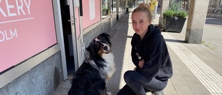 Här öppnar snart Uppsalas första hundfik: "Dröm blir verklighet"