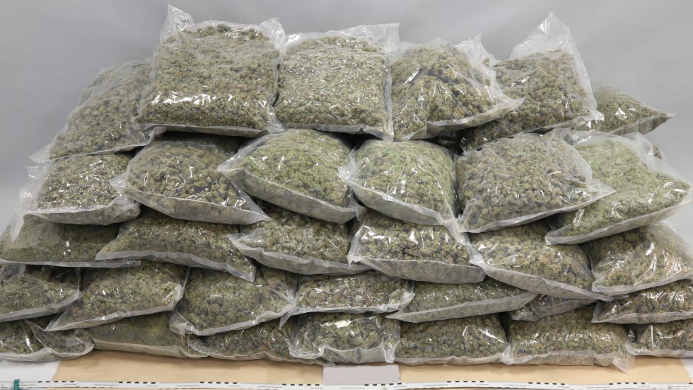 Del av cannabisbeslag på totalt 316 kilo i Helsingborg. Pressbild från Tullverket.