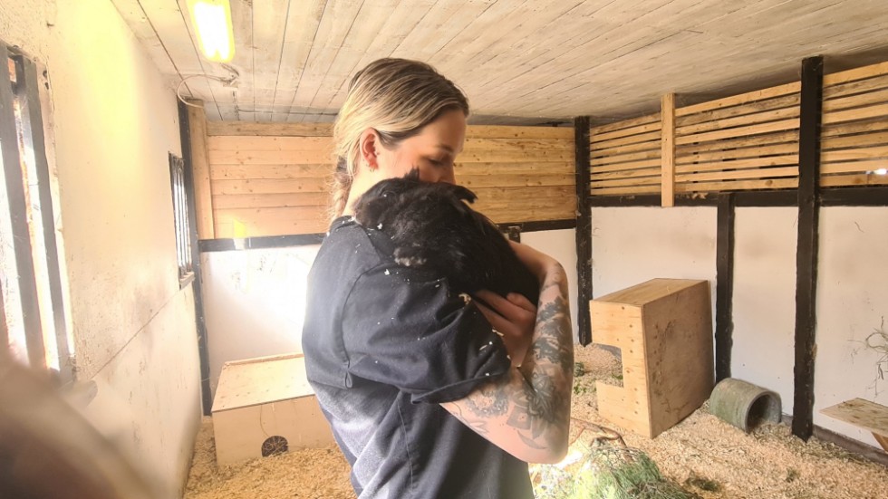 Den övergivna kaninen Chili har nu fått ett nytt hem hos syskonen Ellen och Lisa Gustafsson i Storebro. 