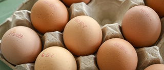 Importen räddar påsken: "Gott om ägg"