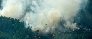 Hela Sverige drabbas när skogen brinner