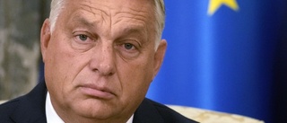 EU ska inte visa Ungern någon nåd