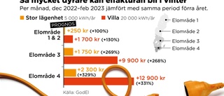 Så hög kan din elräkning bli i vinter