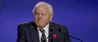 David Attenborough ska pigga upp britter