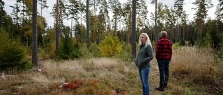 Paret planerar för 100 hus i skogen