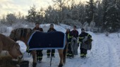 Ägaren Anette efter hästräddningen: "Min häst hade ingen chans" • Vill tacka räddningstjänsten