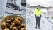 Efter två år i Skellefteå: Chi Zhang har fallit för skridskor – och svensk potatis