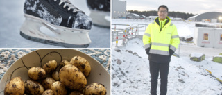 Efter två år i Skellefteå: Chi Zhang har fallit för skridskor – och svensk potatis