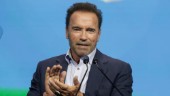Schwarzenegger skild efter tioårig process