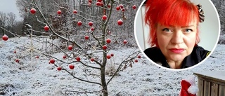 Becca vill visa upp juldekorationerna i Vingåker: "Lite som nya tidens skyltfönstersöndag"