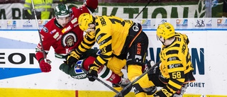 "Årets upplaga är redo att offra allt för guldet – har aldrig sett dem så här mot Frölunda förut" 