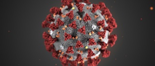Kroppens celler kan mutera coronaviruset