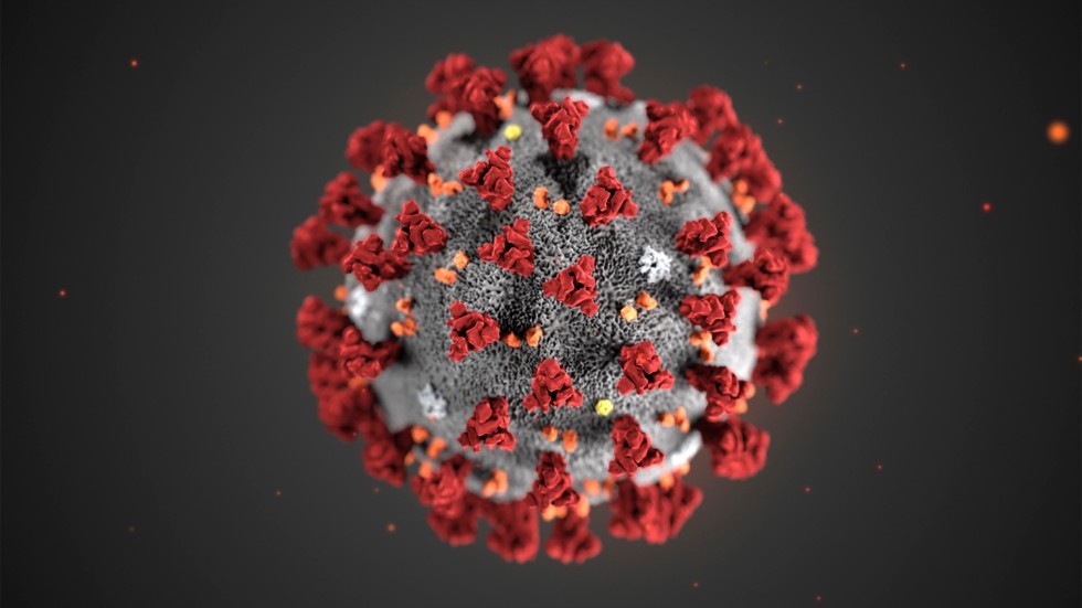Våra kroppar kan göra coronaviruset mindre farligt genom att skapa mutationer.