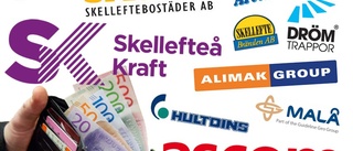 Tio i topp: De omsätter mest i Skellefteå, Norsjö och Malå
