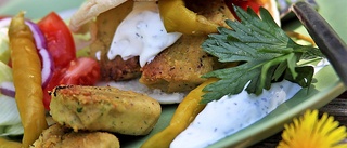 Falafel med myntayoghurt