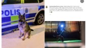 Joppli och hundföraren Per Eriksson från Skellefteå räddade liv: ”Joppli blev kvällens hjälte” 