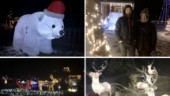 Paret köpte en stor, lysande isbjörn – för att skapa julstämning: "I år har vi 15 000 lampor"