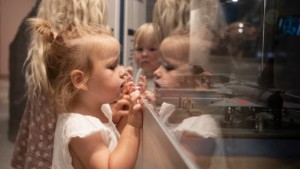 Museet i Linköping som nått nya höjder i sommar – så många besökare har dykt upp