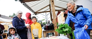 Skördemarknaden i Lövånger lockade många besökare: ”Det känns bra att handla lokalproducerat”