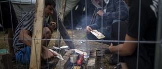 Amnesty: Inhumant flyktingmottagande i Litauen