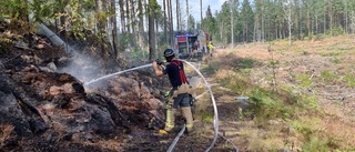 Brandflyg upptäckte skogsbrand: "Vi hade kontroll"