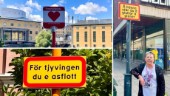 Rosita är hjärnan bakom skyltarna i Norrköping • Därför fick hon idén • "Oftast försöker man att dölja sin dialekt"