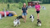 Hundinstruktörerna i Hannäs: "Köp inte en hund för att den är söt" 