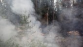 400 gånger 100 meter skogsbrand är nu släckt
