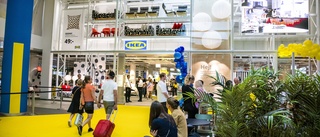 Ikea-chefen tror på prissänkningar i höst