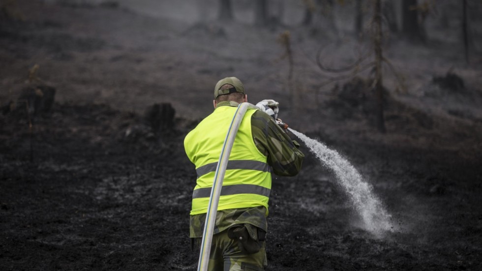 Under extremtorkan 2018 härjade skogsbränder i stora delar av Sverige. Arkivbild.