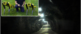 LKAB har skaffat unika robothundar – som kan rädda liv i gruvan