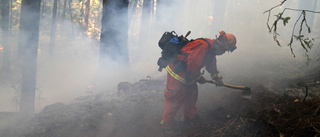 Enorma ytor härjas av bränder i Kalifornien