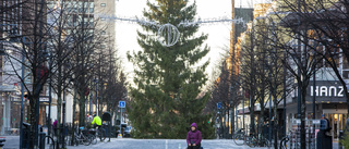 Utlovar krafttag för cityhandel