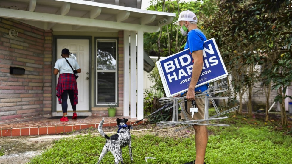 Aktivisten Susan Kennedy, hunden Cow och dataanalytikern Matt Mawhinney kampanjar för Demokraterna i ett villaområde i norra Miami i Florida.